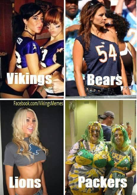 vikingspackersfans.jpg